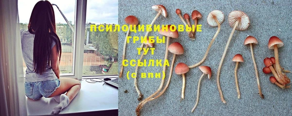 кокаин премиум Богородицк