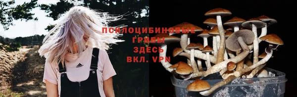 прущие крисы Богданович
