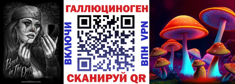Псилоцибиновые грибы Psilocybe  кракен ССЫЛКА  Бирск 